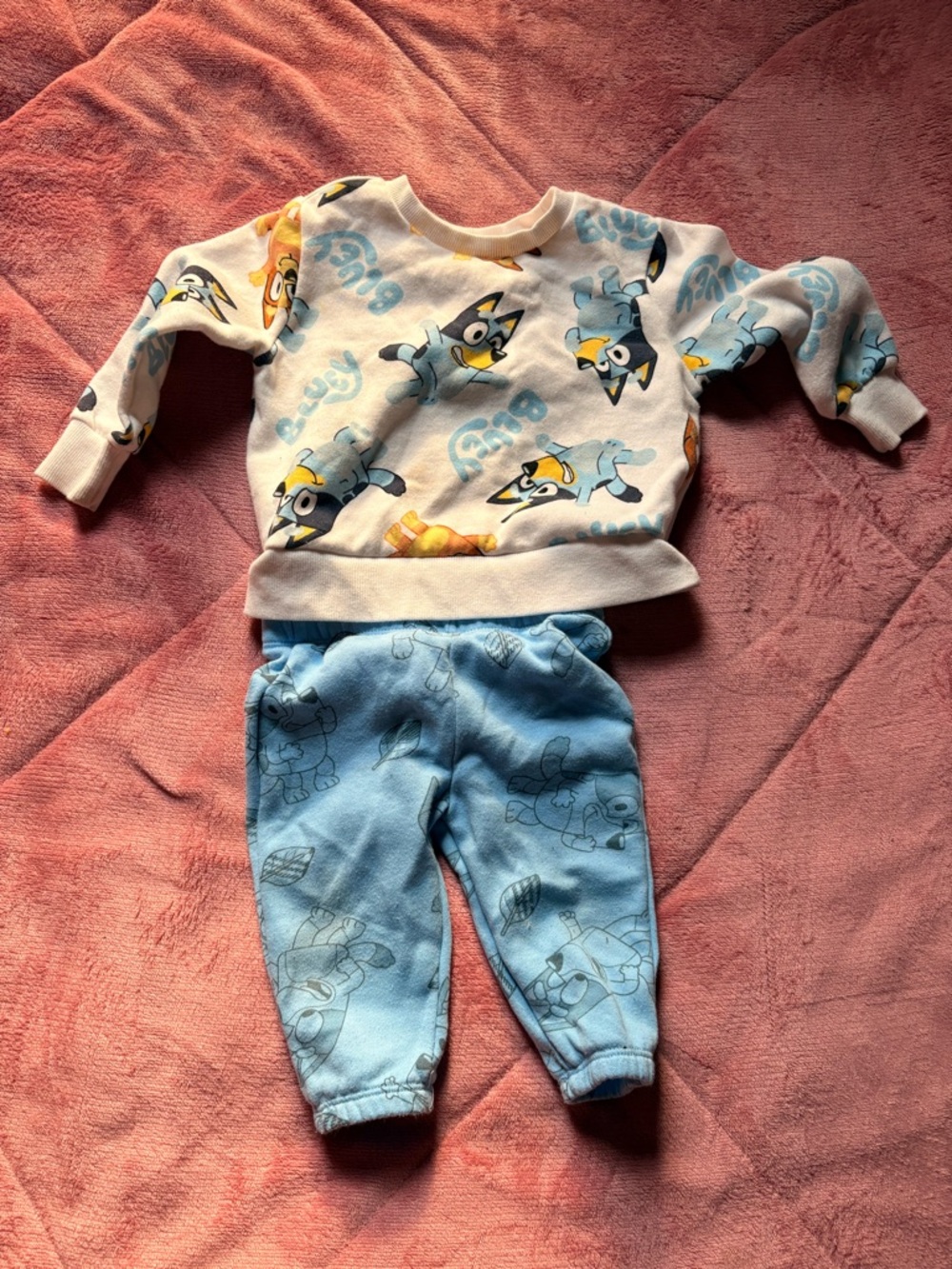 Bluey Light Blue Baby Pullover Sweatshirt